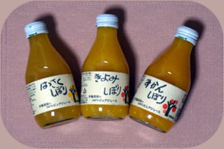 柑橘ジュース.JPG