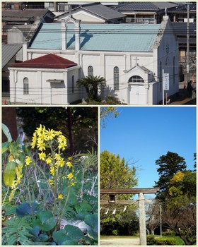 臼杵公園とカトリック教会.jpg