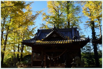 阿蘇神社3.jpg
